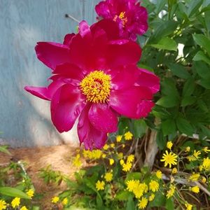 Meet your Posher, Alanna